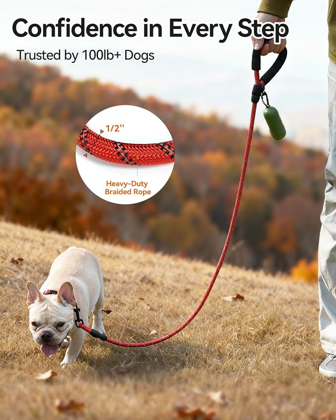 Joytale Dog Leash for Small Dogs, Heavy Duty Nylon Leashes with Comfortable Padded Handle and Highly Reflective Threads, Ideal for Walking and Training, Red, 6'×3/8''