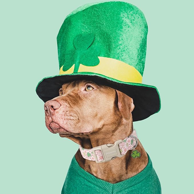 DOGWONG Green Dog Collar- Spring Female Dog Collars Adjustable St. Patrick's Day Puppy Pink Clover Dog Collar for Small Medium Large Dogs XL