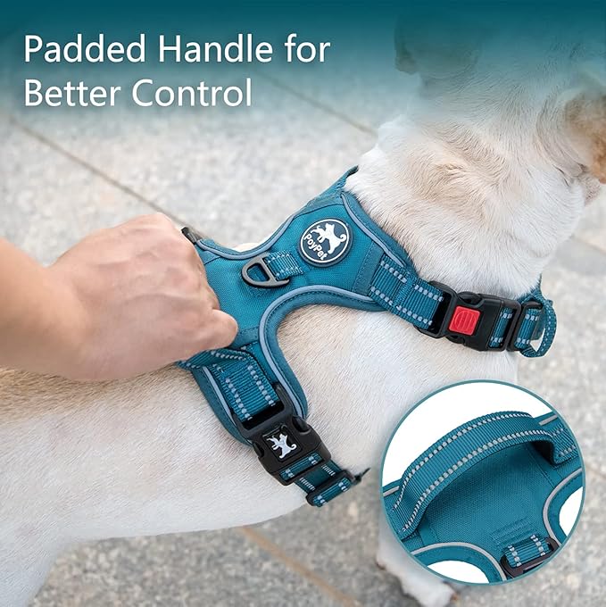 PoyPet No Pull Dog Harness, No Choke Reflective Dog Vest, Adjustable Pet Harnesses with Easy Control Padded Handle for Small Medium Large Dogs(Tumalo Teal,XS)