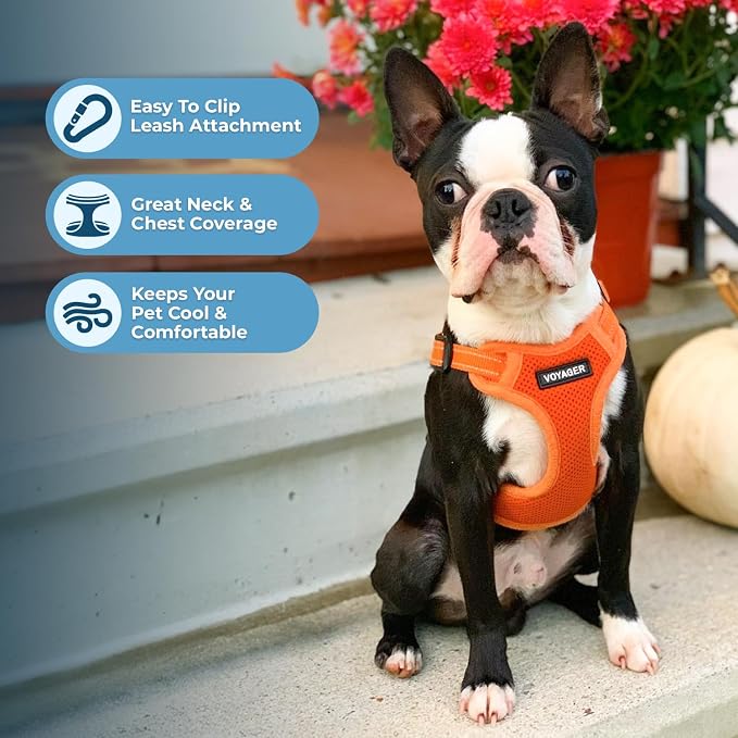 Best Pet Supplies Voyager Adjustable Step-in Flex Breathable Mesh Dog Harness for Small Medium Large Dogs (Orange), XL