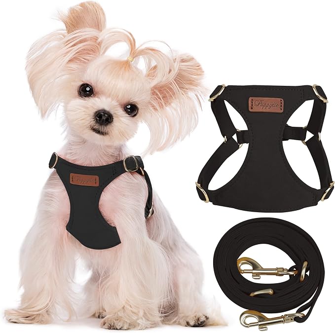 Puppytie xs Dog Harness with Multifunction Dog Leash,Soft Adjustable No Choke Escape Proof Pet Harness Vest,Black,XS