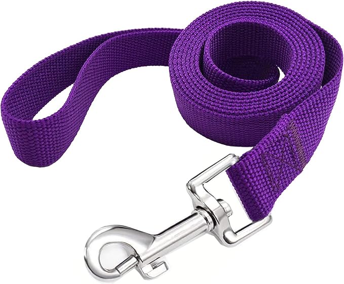 TAIAN 4FT/5FT/6FT Strong Dog Leash, Nylon Dog Leashes for Small Medium Large Dogs (5/8 in x 5 ft, Purple)