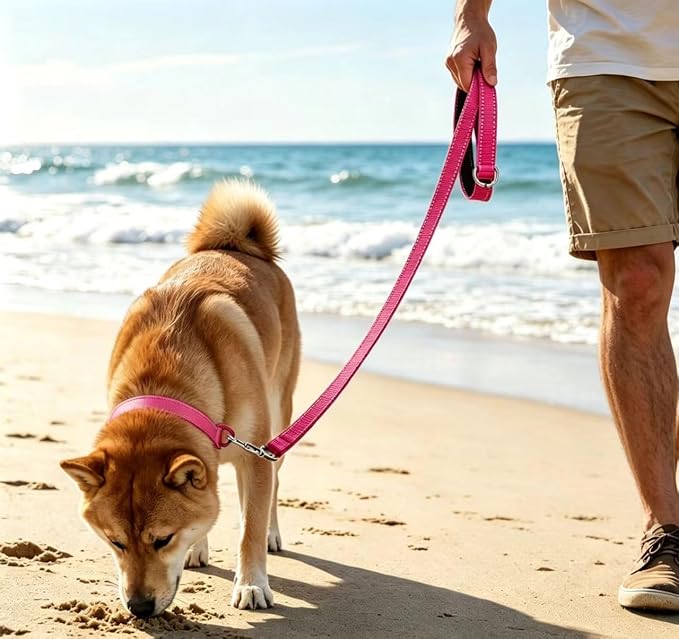 6 FT Reflective Dog Leash, Nylon Heavy Duty Leashes with Soft Padded Handle for Small Medium Large Dogs Walking, 1 Inch Wide Hot Pink