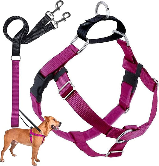 2 Hounds Design Freedom No Pull Dog Harness, Adjustable Harness and Leash Set, Easy Walking & Comfortable Control, Fits Small, Medium & Large Dogs, Solid Colors, Made in USA, 5/8" XS, Raspberry