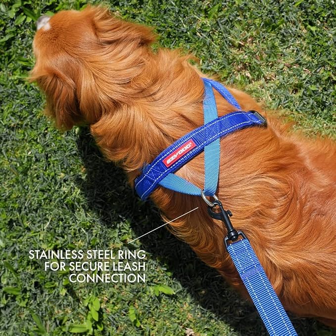 EzyDog Quick Fit Dog Harness – No Pull Harness for Training, Everyday Walking, and Easy Control - Adjustable Fit, Reflective, and Padded (Small, Red)