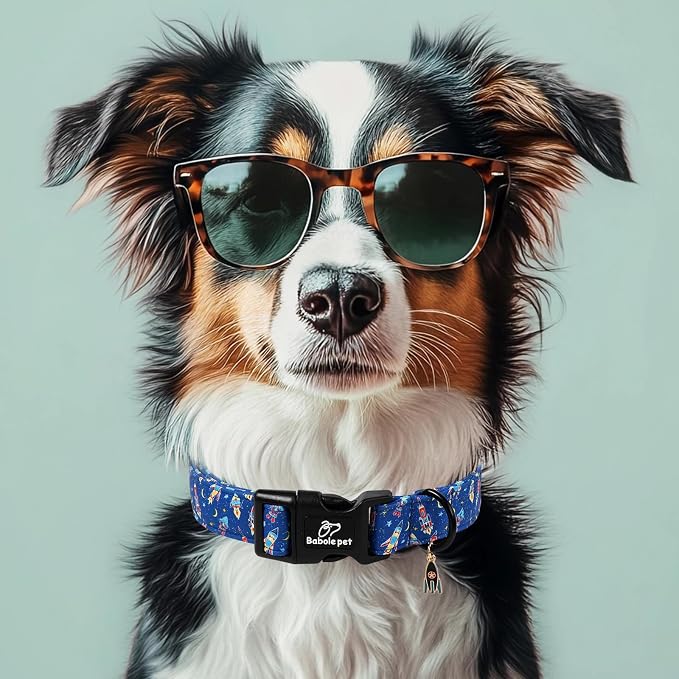 Boy Dog Collar Cute Rocket Space Dog Collars for Medium Dogs - Lightweight Adjustable Cute Male Dogs Everyday Collar with Safety Buckle M