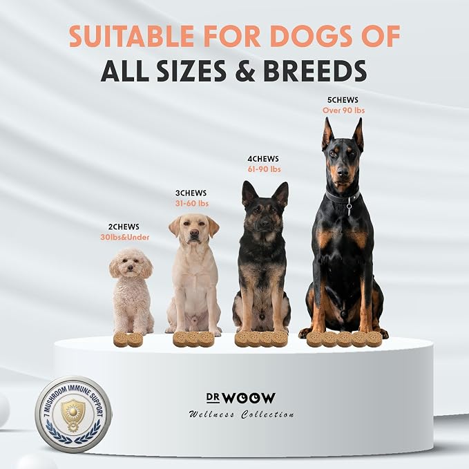 Turkey Tail Mushroom Chews for Dogs (120 Soft Chews) – Immune Support & Gut Health – 7 Mushroom Blend, Salmon Oil & Probiotics – Daily Wellness Supplement – Made in USA – Dr. Woow