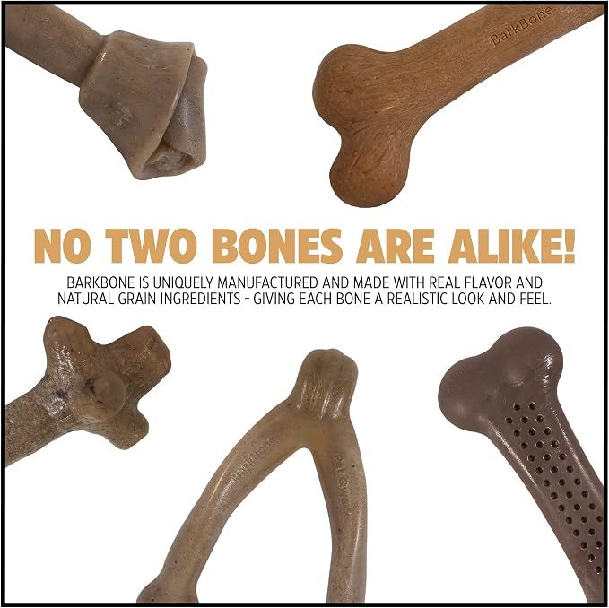 Pet Qwerks Dinosaur BarkBone - Nylon Dog Bone for Aggressive Chewers - Bacon Flavor - 8.5"