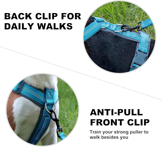 Plutus Pet No Pull Dog Harness, Adjustable Nylon Harness with Soft Padding, Reflective and Heavy Duty Dog Harness for Small, Medium, Large Dogs(Cyan, XS)