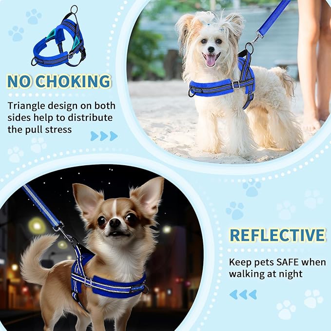 Lukovee No Pull Dog Harness and Leash Set, Soft Padded Small Dog Harness, Neck & Chest Adjustable Reflective Vest Puppy Harness with 4ft Lightweight Anti-Twist Dog Leash for Small Dogs (XXS, Blue)