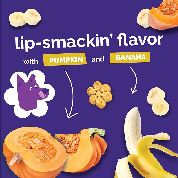 Fruitables Baked Dog Treats Variety 4 Pack (Pumpkin & Apple, Banana, Blueberry, Cranberry) - 7 oz (4 Pack)