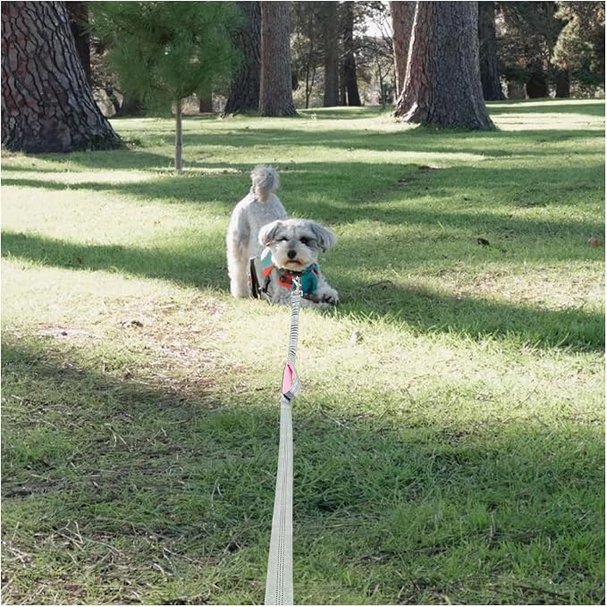 BTINESFUL 8ft Dog Leash with 3 Handles, Triple Handle Reflective Shork Absorbing Bungee Dog Leash for Control & Safety Training for Large Medium Dogs (1 in x 8 ft, Grey)