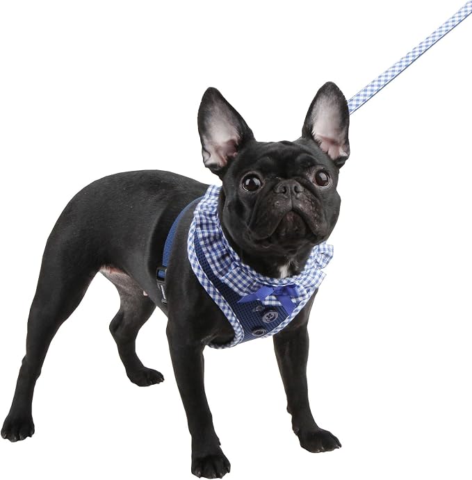 Authentic Puppia Vivien Harness, Royal, Large (Pack of 2)