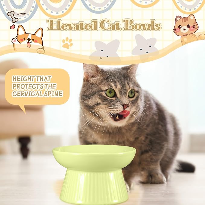 Layhit 2 Pack Raised Slow Feeder Cat Bowls Ceramic Elevated Cat Food Bowls Anti Vomiting Slow Feeder for Dog and Kitten for Dry and Wet Food(Green, Pink)