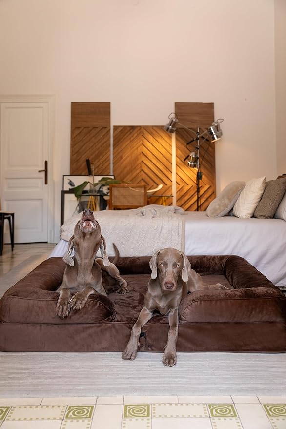 NOAH & PAW Giant Dog Bed XXL, 55x45x11 Inch, Orthopedic Dog Beds, Eggshell Memory Foam Infused with Cooling Gel, Inner Cover, Water Resistant, Machine Washable (Velvet Sofa Collection)