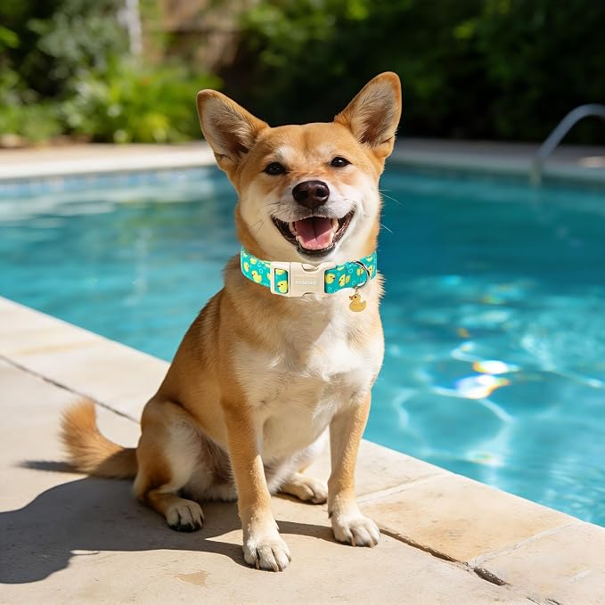 DOGWONG Ducky Pattern Cute Collar, Spring Summer Female Male Collars Pets Gift Adjustable Heavy-Duty Duck Pet Collars for Large Dogs, Neck 39-60 inches