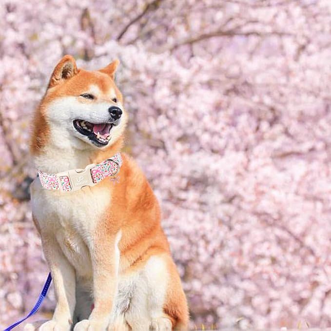 Cute Floral Cotton Dog Collar with Pink Bow Charm, Soft Adjustable Puppy Collar with Durable Quick Release Buckle for Small Medium Dogs Girl Pets