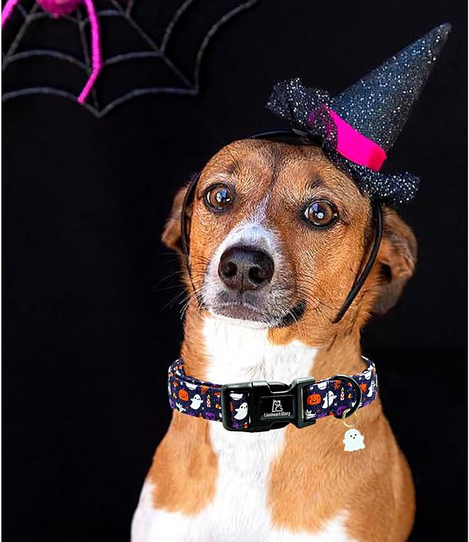 Lionheart glory Dog Collars Fall Halloween Pumpkin Collar Dog Heavy Comfortable Adjustable Dog Collar for Medium Collar Dogs Girls or Boys Dog Collar Cute Pet Gift