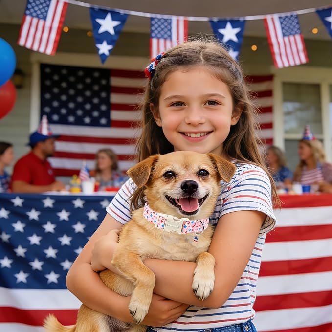 DOGWONG Summer Dog Collar, Pink Popsicle Dog Collars, 4th of July Dogs Collars for Small Medium Dogs, Neck 11-16 inches