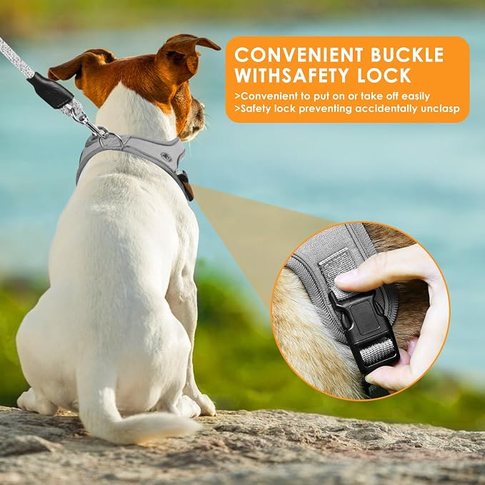 Dog Harness and Leash Set, No Pull Saddle Style Pet Harness, Breathable Mesh Adjustable Reflective Dog Vest for Dogs and Cat Medium Small Harness 2 D-Rings (Grey, XS)