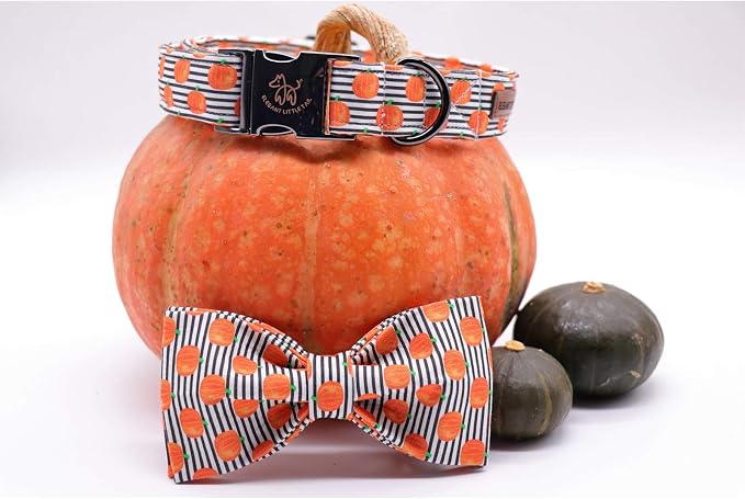 Elegant little tail Halloween Dog Collar, Pumpkin Print Pet Collar Bowtie Dog Collars Holiday Adjustable Pet Gift Collars for Small Medium Large Dogs