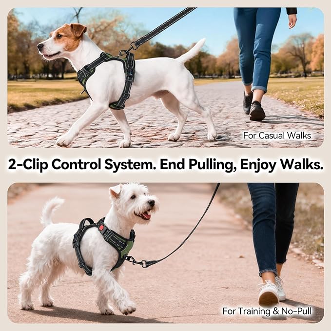 PHOEPET No Pull Dog Harness with Handle Front & Back Clip, Easy on Lockable Snap Buckle at Neck, Adjustable Reflective Vest with Handle for Small Medium Large Dogs (L, Misty Green)
