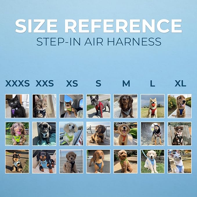 Best Pet Supplies Voyager Step-in Air All Weather Mesh Harness and Reflective Dog 5ft Leash Combo with Neoprene Handle, for Small, Medium and Large Breed Puppies - Baby Blue, Small