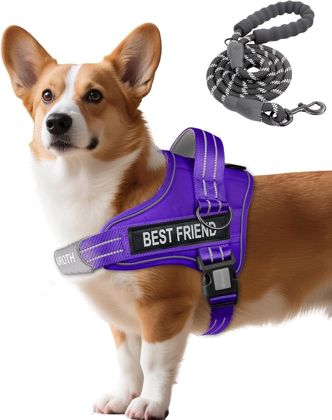 AUROTH Dog Harness and Leash Set, Soft Padded Service Dog Vest with 5.25FT Dog Leash, No Choke, Easy On Pet Vest, Adjustable Reflective No Pull Pet Vest Medium Sized Dog, Easy Walking and Training