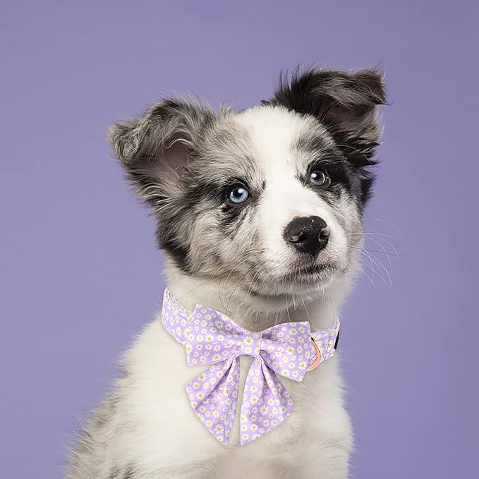 Lionet Paws Spring Dog Collar with Sailor Bow, Soft Comfortable Adjustable Cute Daisy Collar for X-Large Dogs, Neck 16-26 inches