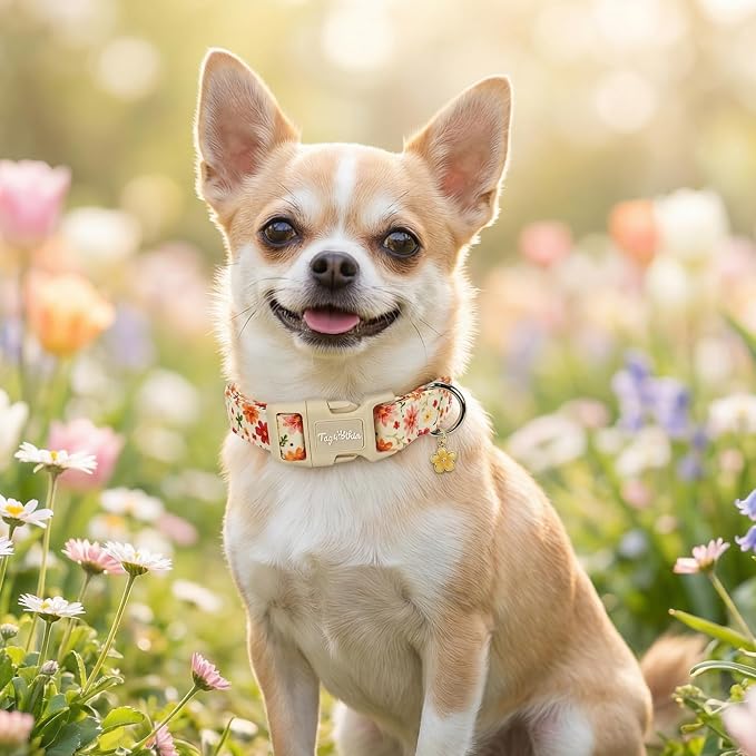Dog Collars for Puppy Small Dogs, Dog Collar with Pink Floral Patterns, Summer Dog Collar with Exquisite Pendant, Durable Adjustable Collars Pet Collar Gifts for Puppy Small Dogs-XS