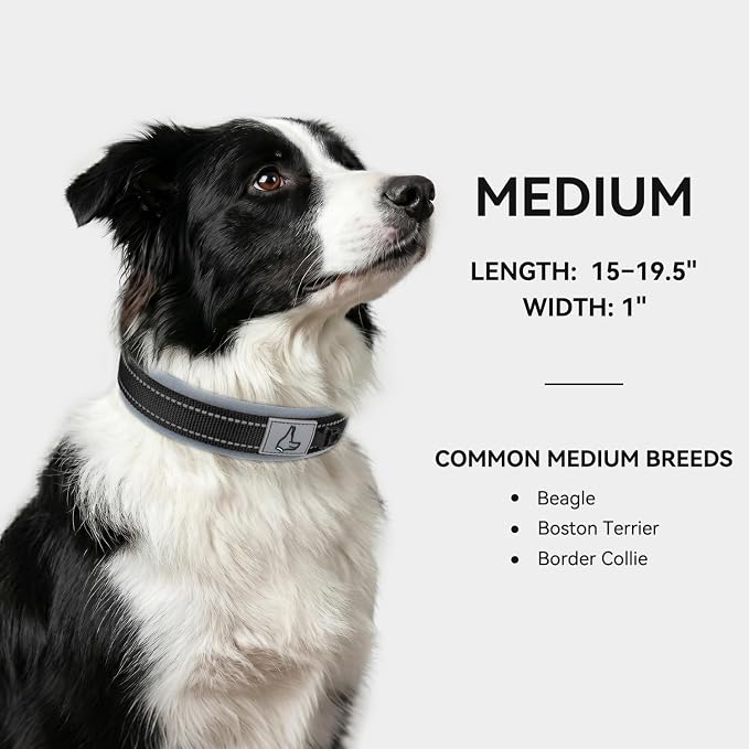 Joytale Dog Collar for Medium Dogs, Neoprene Padded and Adjustable, Reflective Wide Heavy Duty Pet Collars with Durable Metal Belt Buckle for Walking, Black, M