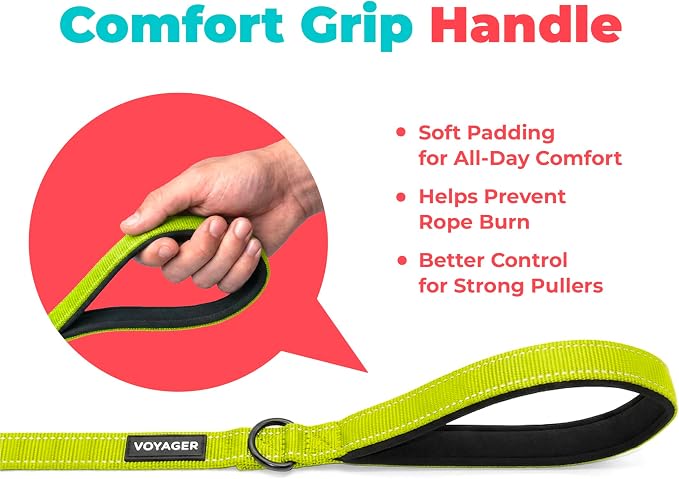 Best Pet Supplies Voyager Reflective Dog Leash or Collar with Neoprene Handle, for Small, Medium, and Large Breed Puppies, Cute and Heavy Duty for Walking, Running and Training - Lime Green (Leash), S