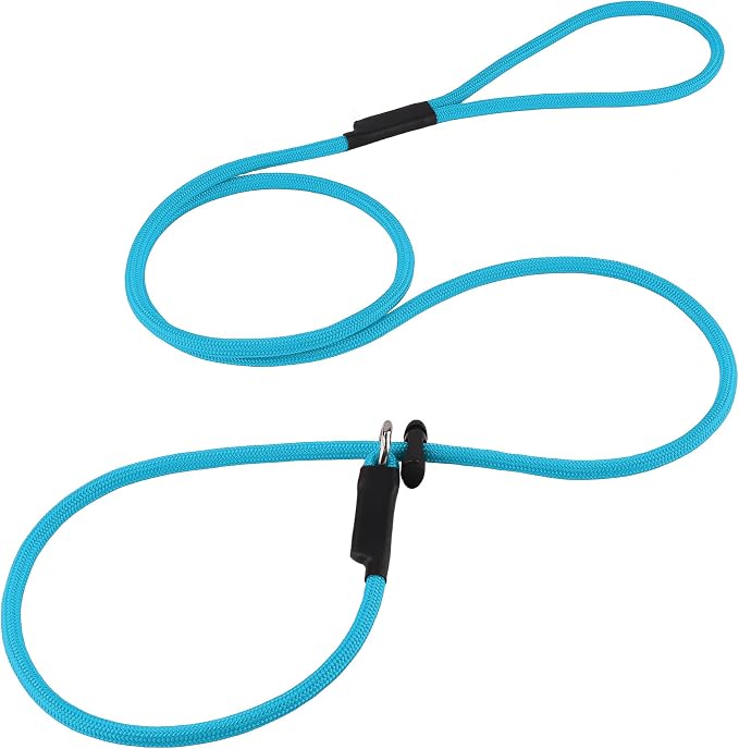 Slip Lead Dog Leash – Strong Nylon Training Rope with Spring-Loaded Adjustable Stopper – 5/16" x 4/5/6ft -No Pull Heavy Duty Leash for Small Medium Large Dogs(Sky Blue, 6 FT)