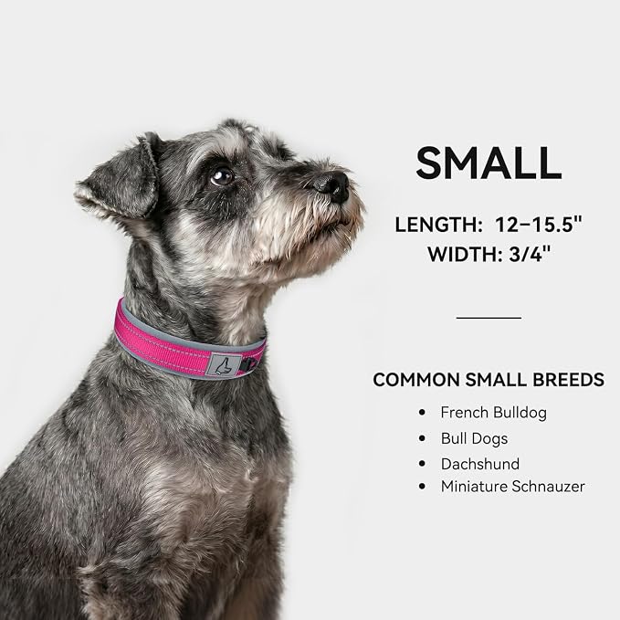 Joytale Dog Collar for Small Dogs, Neoprene Padded and Adjustable, Reflective Wide Heavy Duty Pet Collars with Durable Metal Belt Buckle for Walking, Hotpink, S