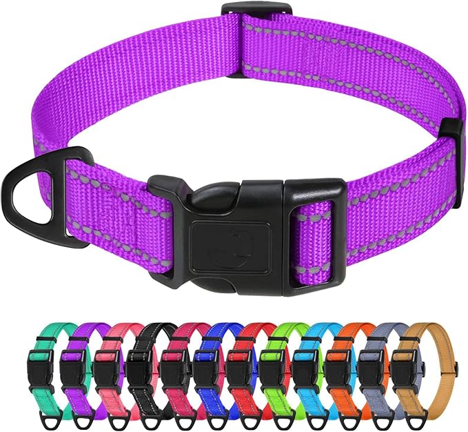 TagME Reflective Nylon Dog Collars, Adjustable Classic Pet Collar with Quick Release Buckle for Small Dogs, 3/4" Width Purple