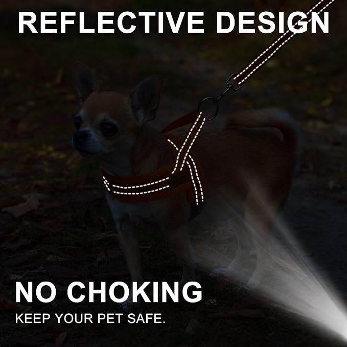 BEAUTYZOO Dog Harness for Small Dogs, No Pull Dog Harness and Leash Set, Soft Escape Proof Puppy Vest Harness with Handle, Reflective Lightweight Step in Harness for Girl Boy Dogs, Orange L