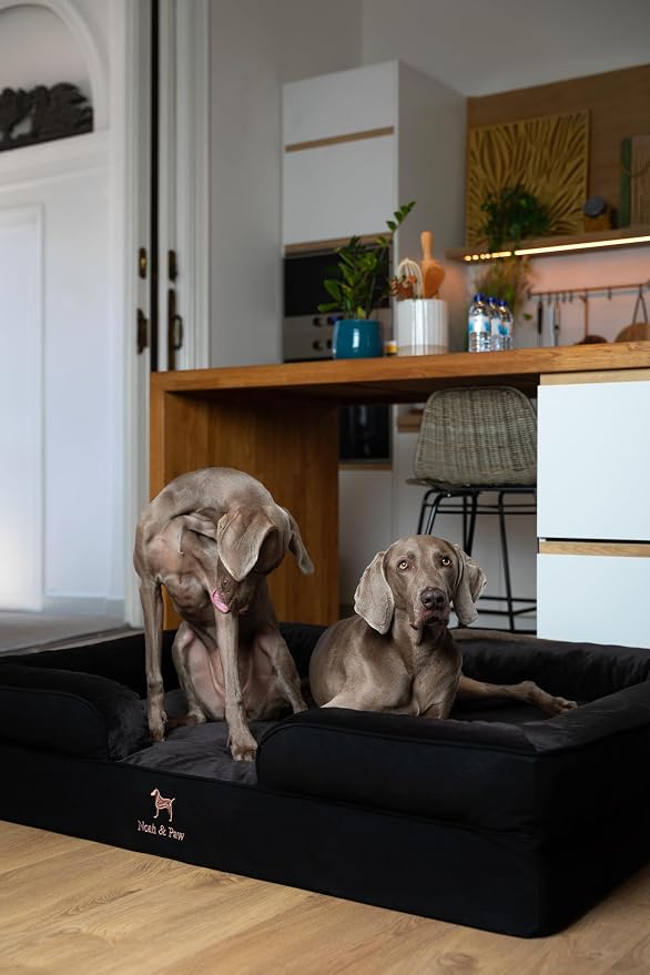 NOAH & PAW Giant Dog Bed XXL, 55x45x11 Inch, Orthopedic Dog Beds, Eggshell Memory Foam Infused with Cooling Gel, Inner Cover, Water Resistant, Machine Washable (Denim Sofa Collection)