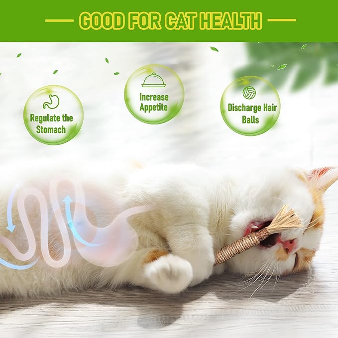 Silvervine Sticks Cat Chew Toys for Indoor Cats Dental Care Teeth Cleaning, Natural Kitten & Cat Teething Toys for Health, Cat Chew Stick Treat Edible Suitable for All Breeds of Aggressive Chewers Cat