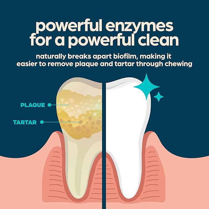 Chewsday Fresh Mint Flavor Dental Chews, Extra Small Dog Treats, Healthier Teeth and Fresher Breath, Enzyme Powered for Advanced Cleaning, Made in the USA, 24 Count