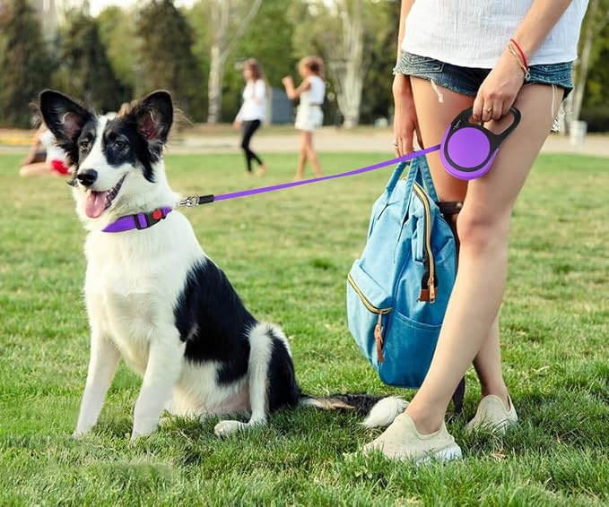 Taglory Retractable Dog Leash, 16ft No Tangle Leash Retractable for Medium and Large Dogs Up to 100 lbs, One-Handed Brake, Pause, Lock, Purple