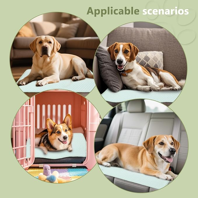 SOMOYA Cooling Mat for Dogs Upgrade Pet Cooling Pads Blanket Sleeping Kennel Mat,Washable Ice Silk Sleep Mat Pad Breathable for Large Dogs Cats Green, Medium (29.5x18.8 in)