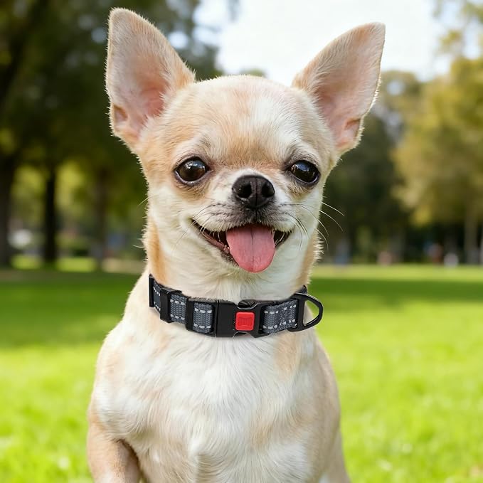 Taglory Reflective Dog Collar for Puppies with Escape-Proof Locking Buckle, Soft Neoprene Padded and Upgraded Zinc Alloy Ring, Adjustable for Chihuahua Yorkie, Grey,XS