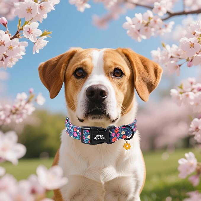 Unique style paws Dog Collar Plastic Buckle with Pendant Puppy Collar for Spring Summer Blue-Colored Flower for Small Medium Large Boys Girls Dogs