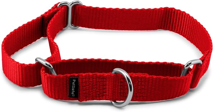 PetSafe Martingale Dog Collar Medium, 3/4 Inch, Red