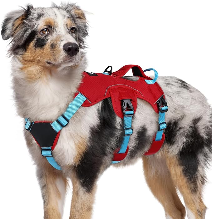 rabbitgoo Escape Proof Dog Harness Large Dogs, Soft Padded Full Body Pet Harness, Reflective Adjustable No Pull Vest with Lift Handle and Leash Clip for Walking Hiking Training, Blue & Red, M