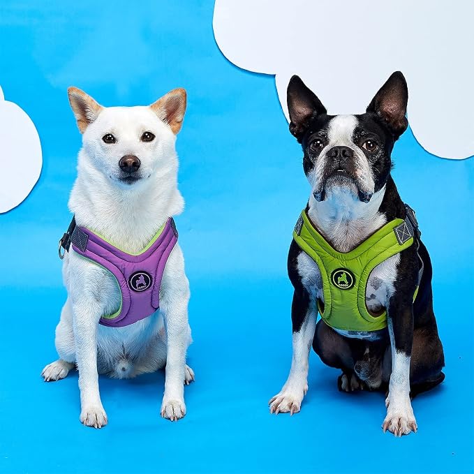 Gooby Escape Free Memory Foam Harness - Blue, Small - No Pull Step-in Dog Harness with Four Point Adjustment for Small to Medium Dogs