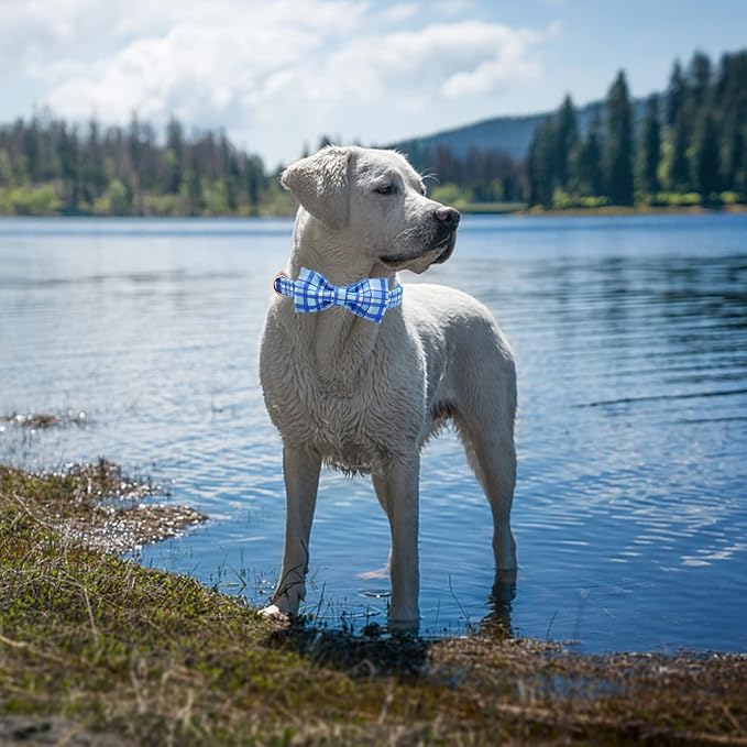 Elegant little tail Dog Collar, Blue Plaid Dog Collar Bow Boy Pet Collar with Metal Buckle Pet Dog Bows Soft Adjustable Dog Collar for Large Dogs