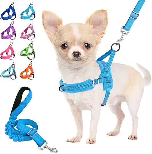 Lukovee No Pull Dog Harness and Leash Set, Soft Padded Small Dog Harness, Neck & Chest Adjustable Reflective Vest Puppy Harness with 4ft Lightweight Anti-Twist Dog Leash for Small Dogs (LBL, XS)