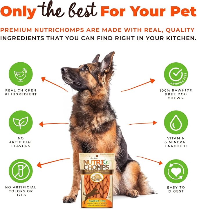 NutriChomps Dog Chews, 6-inch Braids, Easy to Digest, Rawhide-Free Dog Treats, Healthy, 4 Count, Real Peanut Butter Flavor
