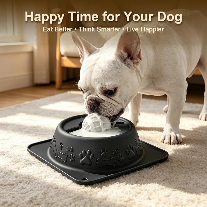 Slow Feeder Dog Bowl for Liquid Treats, Anti-Slip Lick Bowl, Bone Broth and Yogurt Puzzle Feeder, No Spill Pet Bowl Pup Lick Toy for Large Medium Small Dogs and Cats, Anxiety Relief, Black